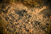 Enlarge photo 162