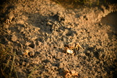 Enlarge photo 163