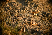 Enlarge photo 164