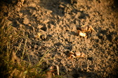Enlarge photo 165