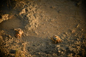 Enlarge photo 167