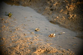 Enlarge photo 169