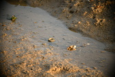Enlarge photo 170