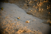 Enlarge photo 171