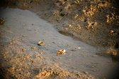 Enlarge photo 172