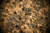 Enlarge photo 173