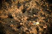 Enlarge photo 176