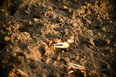 Enlarge photo 178