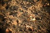 Enlarge photo 179