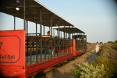 Enlarge photo 181