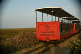 Enlarge photo 182