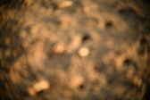 Enlarge photo 183