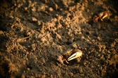 Enlarge photo 189
