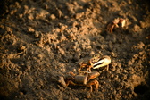 Enlarge photo 192