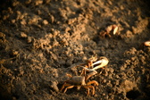Enlarge photo 194