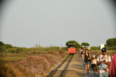 Enlarge photo 196