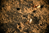 Enlarge photo 197