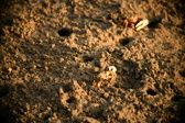 Enlarge photo 198