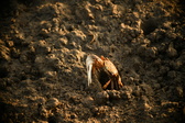 Enlarge photo 200