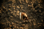 Enlarge photo 201
