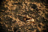 Enlarge photo 204