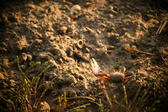 Enlarge photo 213