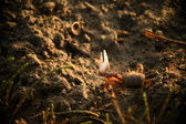 Enlarge photo 214