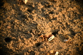Enlarge photo 218