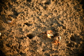 Enlarge photo 221