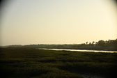 Enlarge photo 223