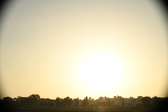 Enlarge photo 226