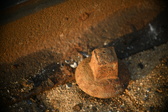 Enlarge photo 227