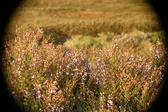 Enlarge photo 235
