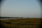 Enlarge photo 251
