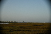 Enlarge photo 252