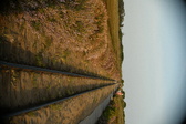 Enlarge photo 253