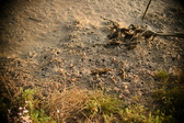Enlarge photo 256