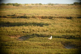 Enlarge photo 273