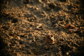Enlarge photo 284