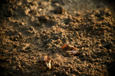 Enlarge photo 283