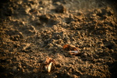 Enlarge photo 285