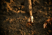 Enlarge photo 287