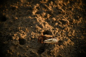 Enlarge photo 289