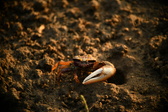 Enlarge photo 293