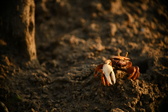 Enlarge photo 301