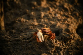 Enlarge photo 302