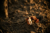 Enlarge photo 304