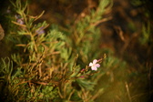 Enlarge photo 308