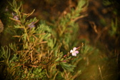 Enlarge photo 311