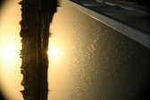Enlarge photo 341